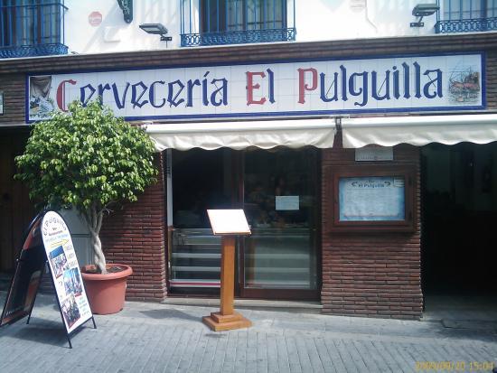 El Pulguilla